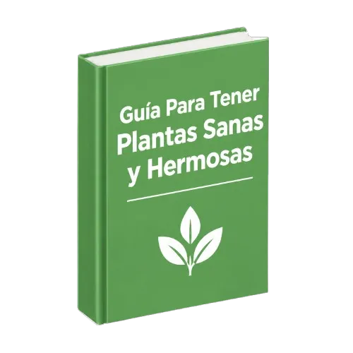 Guía Para Tener Plantas Sanas y Hermosas