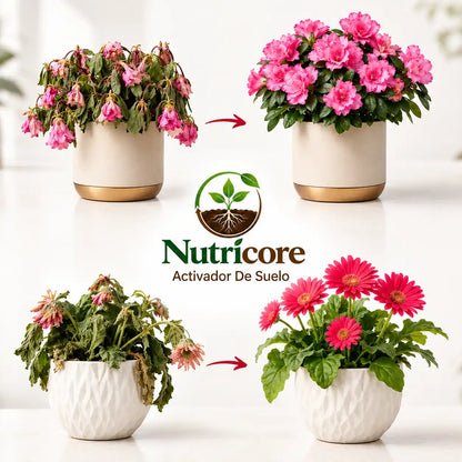 Nutricore™ — Activador para plantas más sanas y fuertes
